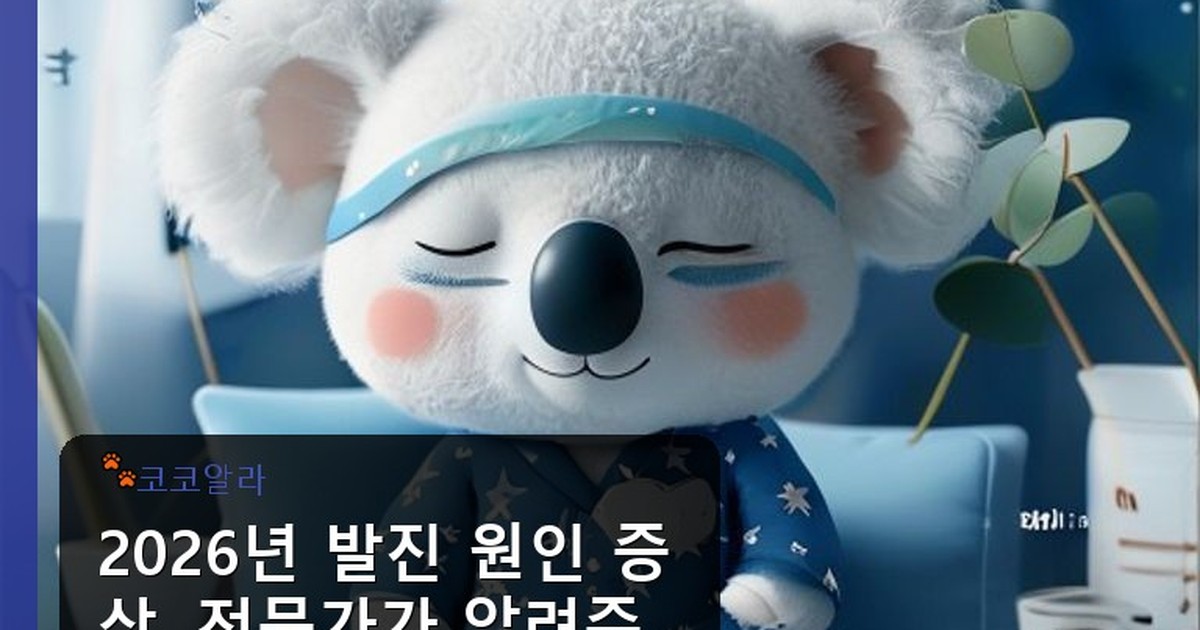 발진 원인 증상 - auto.aaa12a.co.kr 캐릭터