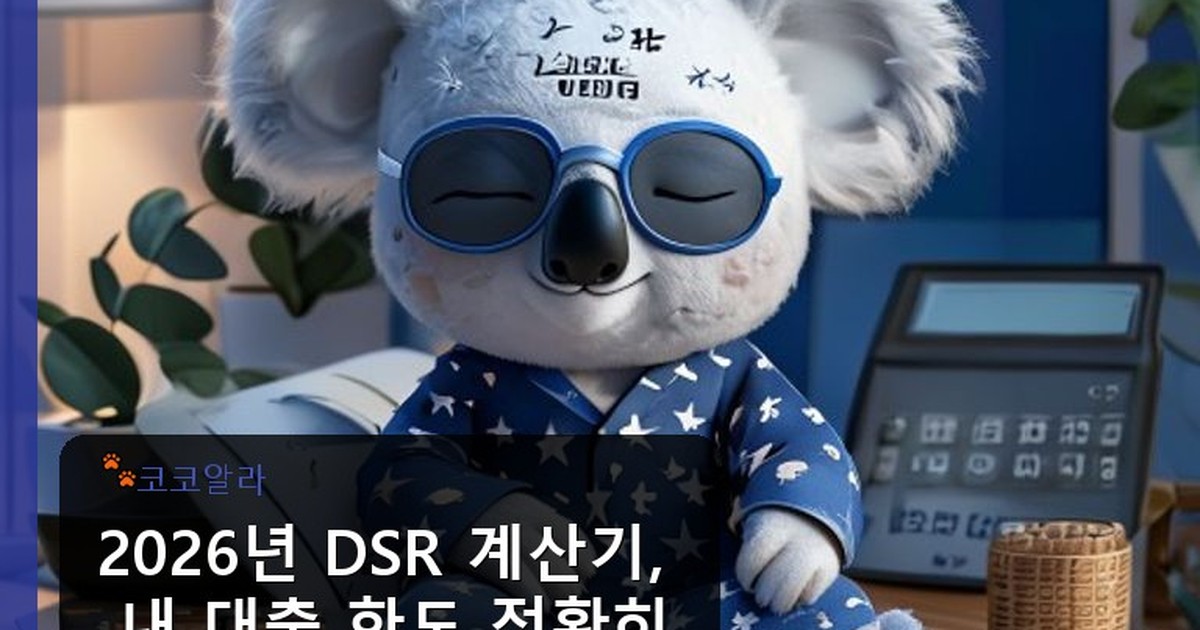 DSR 계산기 - auto.aaa12a.co.kr 캐릭터