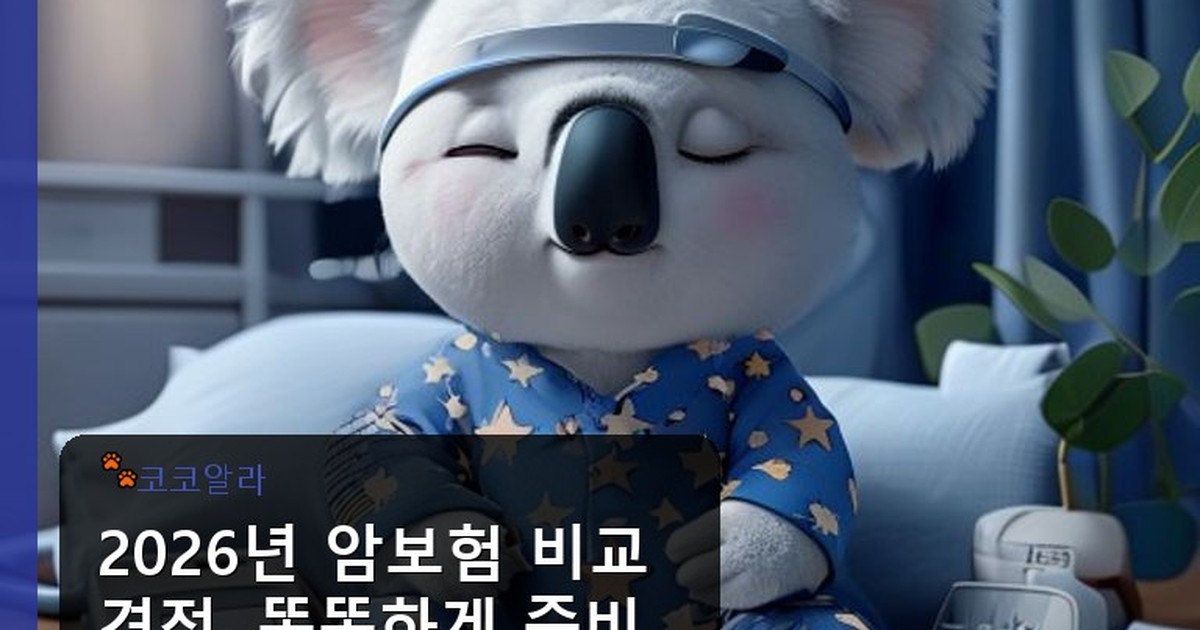 암보험 비교견적 - auto.aaa12a.co.kr 캐릭터