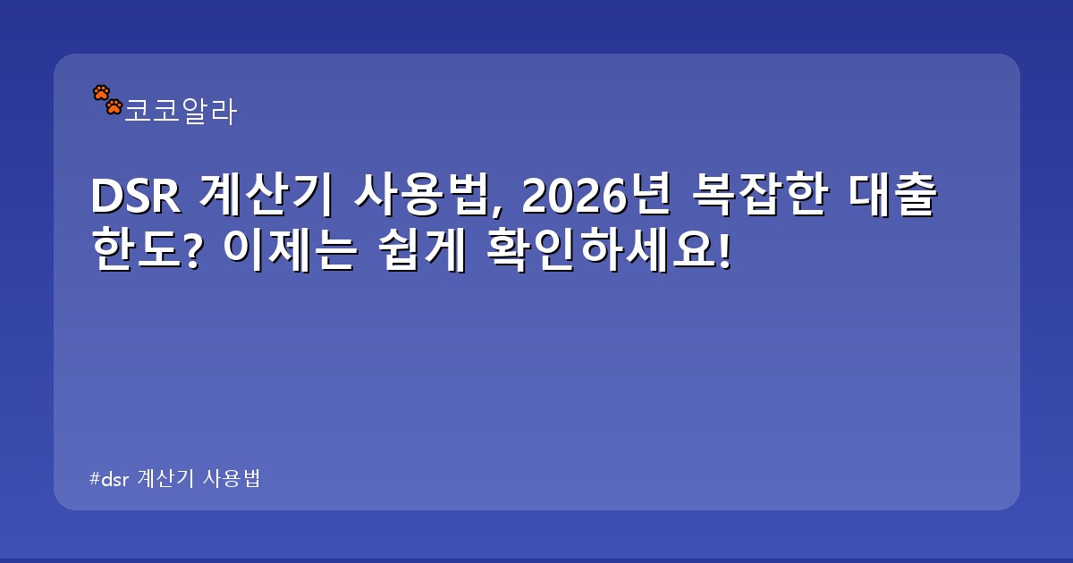 dsr 계산기 사용법 - auto.aaa12a.co.kr 캐릭터