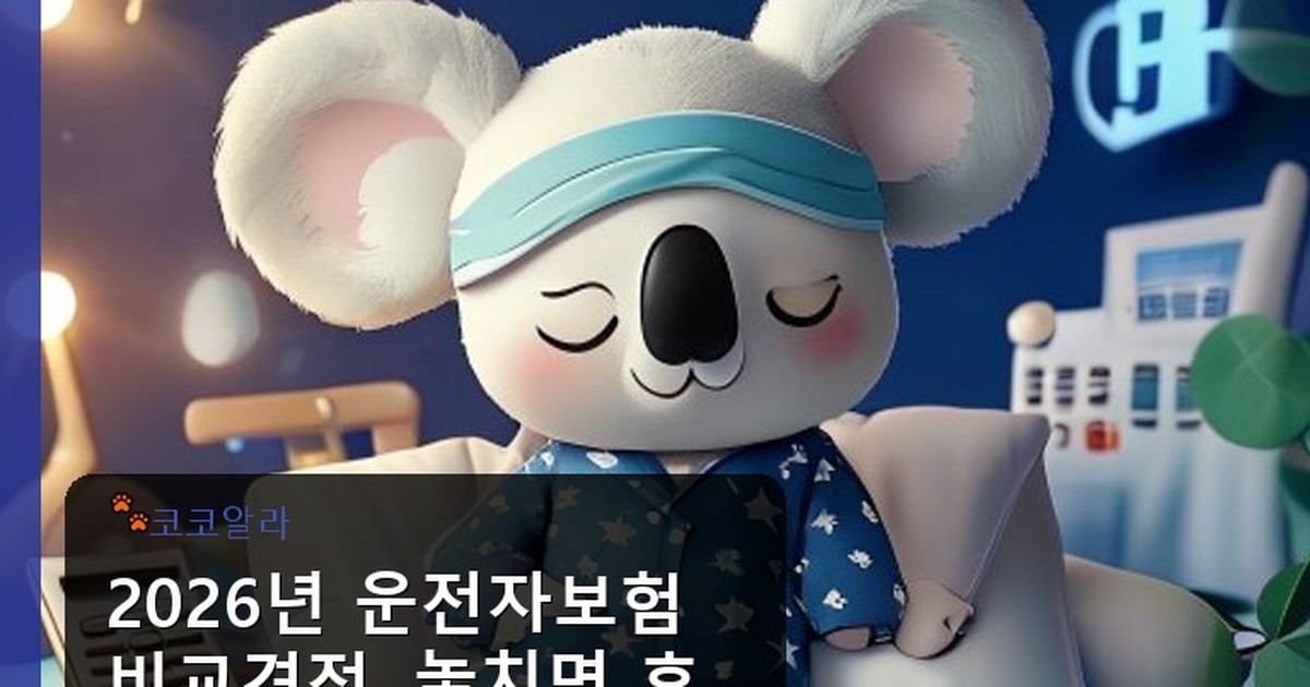 운전자보험 비교견적 - auto.aaa12a.co.kr 캐릭터